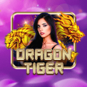 Dragon Tiger bmw casino live