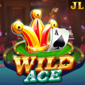 Wild Ace bmw casino slot